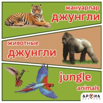 Жануарлар/Животные. Джунгли