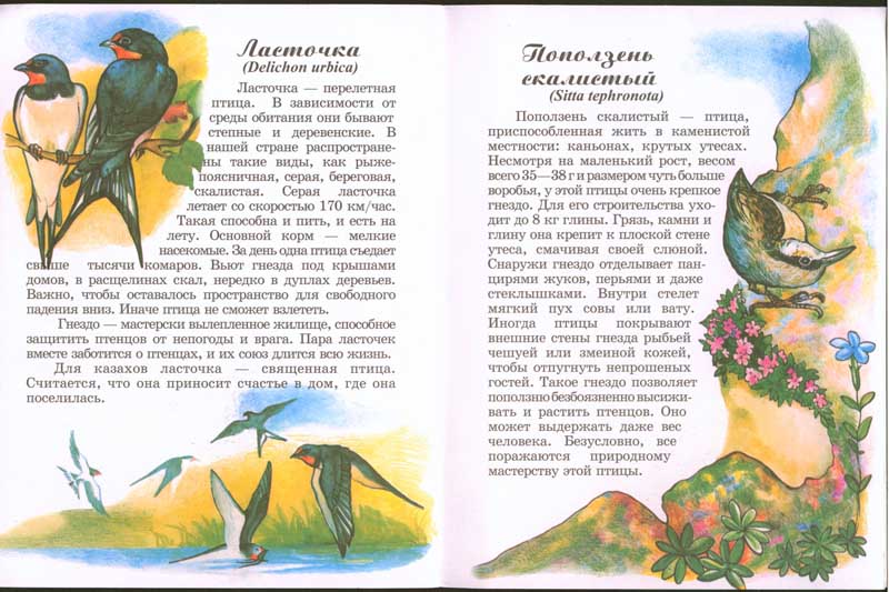 Энциклопедии о Казахстане Птицы Казахстана (удивительный мир)
