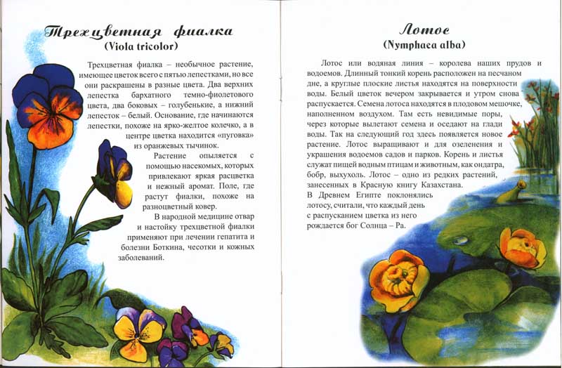Энциклопедии о Казахстане Растения Казахстана (удивительный мир)