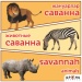 Жануарлар/Животные. Саванна