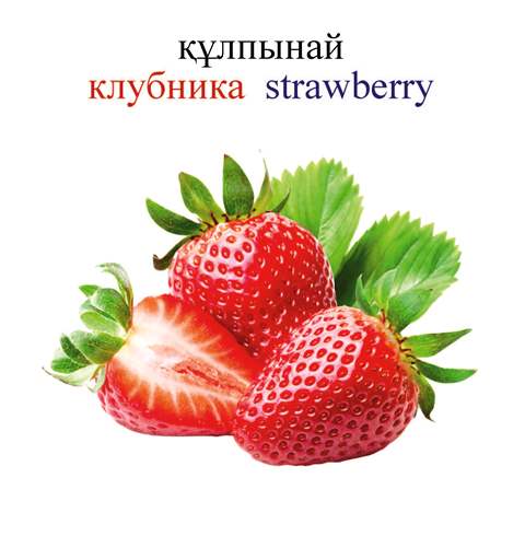 Мас түкті лесбиянкалар