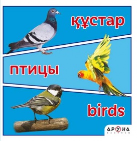 Первые слова малыша Құстар/птицы/birds