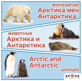 Алғашқы сөздерім Жануарлар/Животные. Арктика мен Антарктика
